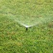 Sprinkler waters grass