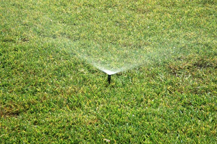 Sprinkler waters grass